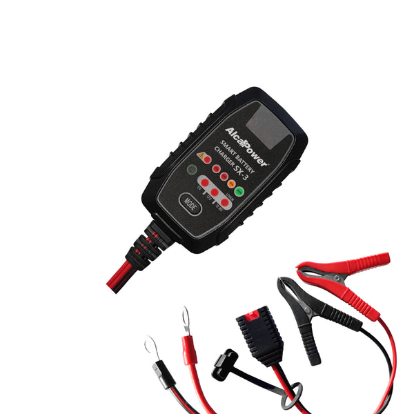 SX-3 CARICABT SWITC AUTO 2,5A 6/12v