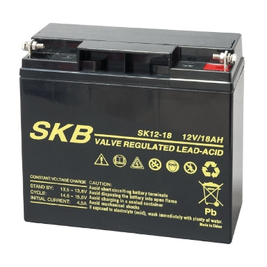 BATTERIA AL PIOMBO SKB 12V 18AH F3